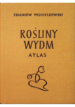 Rośliny wydm Atlas