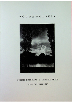Cuda Polski Wielkopolska