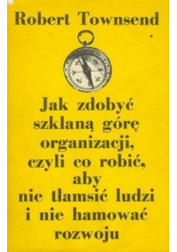 Jak zdobyć szklaną górę organizacji czyli co robić