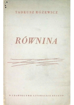 Równina