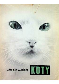 Koty