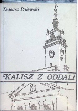 Kalisz z oddali
