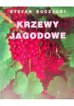 Krzewy Jagodowe