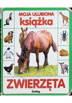 Zwierzęta