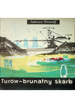 Turów brunatny skarb