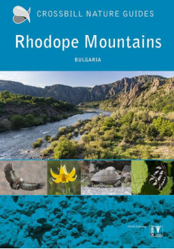 Rhodope Mountains