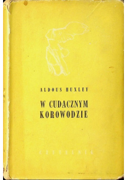 W cudacznym korowodzie