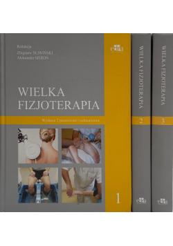 Wielka fizjoterapia Tom 1 do 3