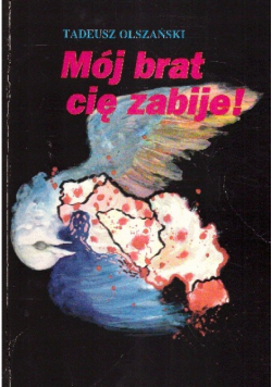Mój brat cię zabije O wojnie w Jugosławii