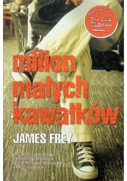 Milion małych kawałków