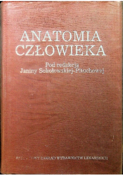 Anatomia człowieka
