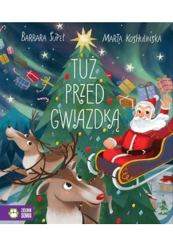 Tuż przed Gwiazdką