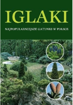 Iglaki najpopularniejsze gatunki w Polsce