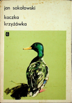 Kaczka krzyżówka