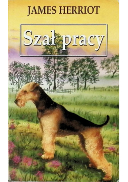 Szał pracy