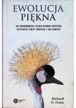 Ewolucja piękna