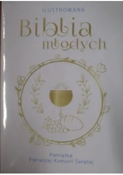 Ilustrowana Biblia młodych