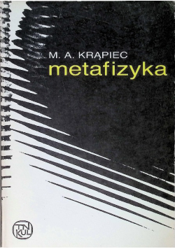 Metafizyka