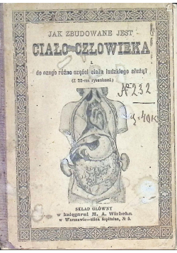 Jak zbudowane jest ciało człowieka M. Brzeziński 1892r