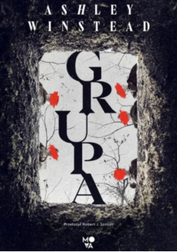 Grupa