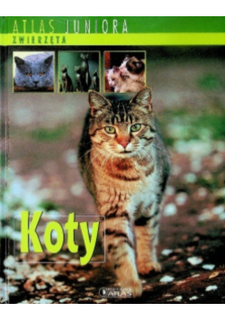 Atlas juniora Koty