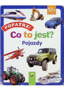 Co to jest Pojazdy