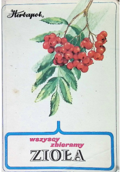 Wszyscy zbieramy zioła