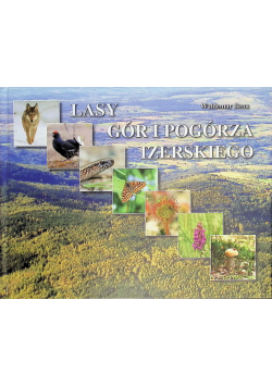 Lasy gór i pogórza izerskiego