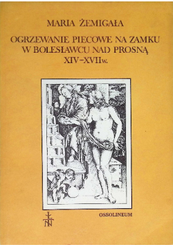 Ogrzewanie piecowe na zamku w Bolesławcu nad Prosną XIV - XVII w.