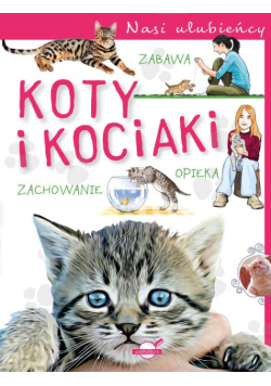 Nasi ulubieńcy Koty i kociaki