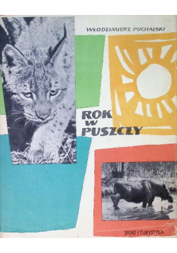 Rok w puszczy
