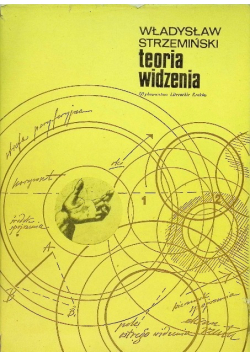 Teoria widzenia