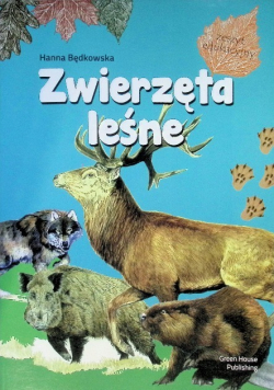 Zwierzęta leśne