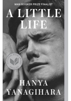 A little Life