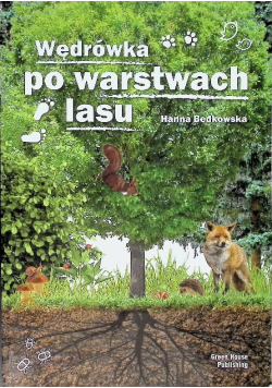Wędrówka po warstwach lasu