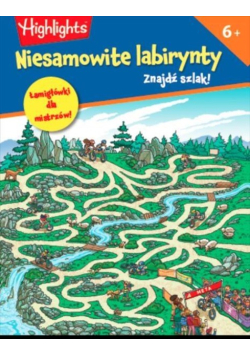 Niesamowite labirynty. Znajdź szlak