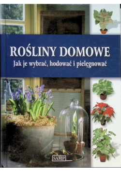 Rośliny domowe Jak je wybrać hodować i pielęgnować