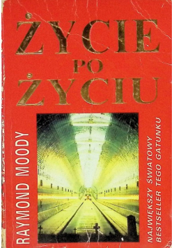 Życie po życiu