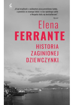 Cykl neapolitański Tom 4 Historia zaginionej dziewczynki
