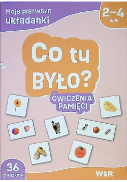 Moje pierwsze układanki Co tu było? ćwiczenia pamięci