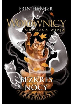 Bezkres nocy