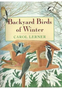 Backyard Birds of Winter