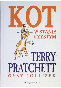 Kot w stanie czystym