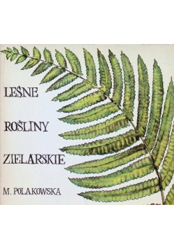 Leśne rośliny zielarskie
