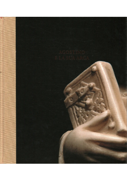 Agostino e la sua arca