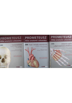 Prometeusz Atlas anatomii człowieka Tom 1 do 3