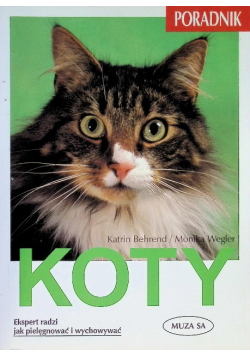 Koty