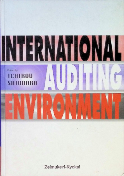 International Auditing Environment