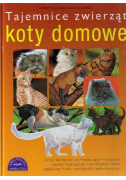 Koty domowe
