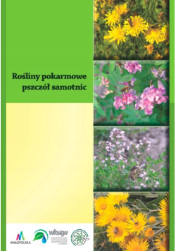 Rośliny pokarmowe pszczół samotnic